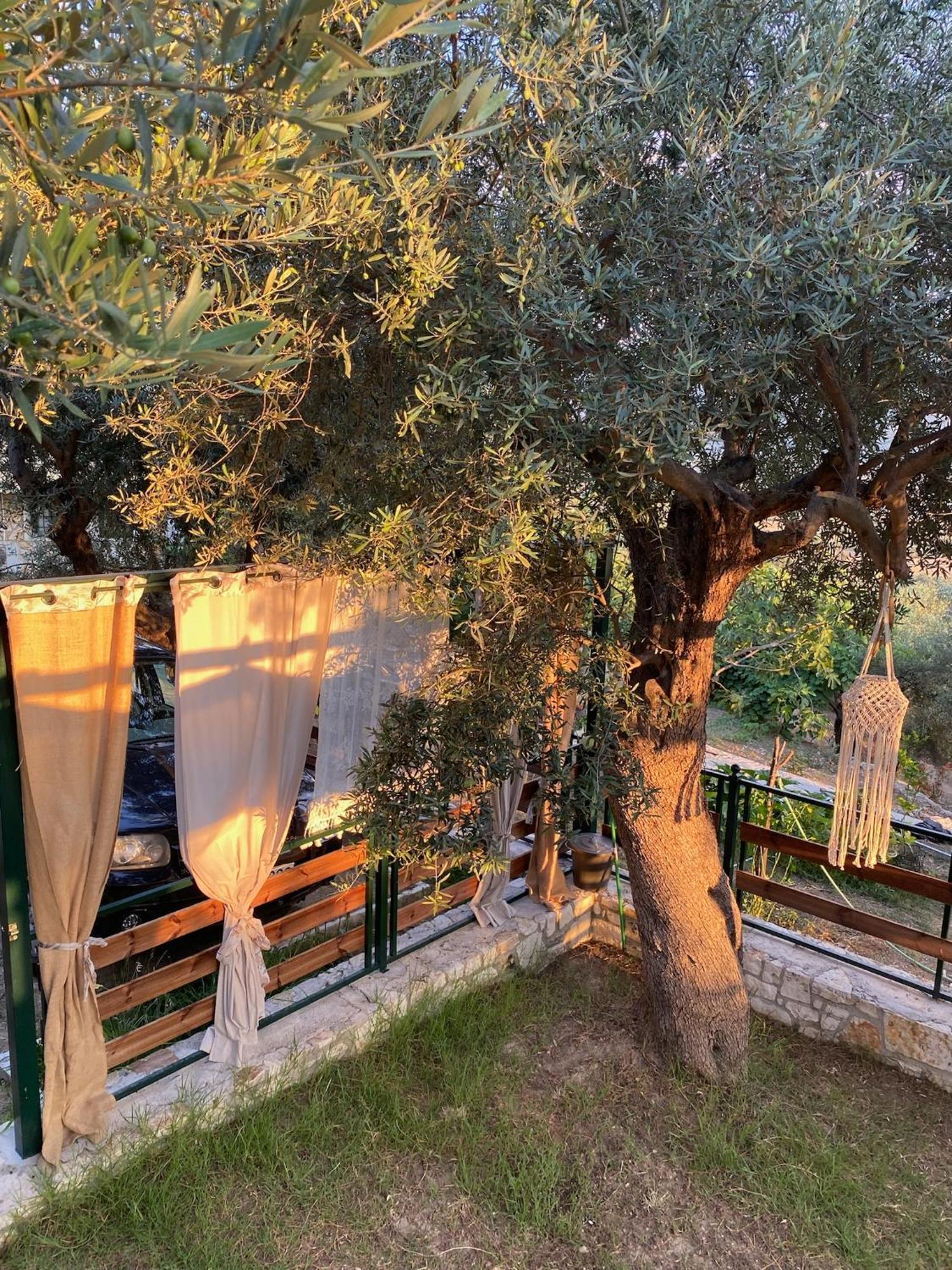 Villa Liodentro - Olea à Plataria Extérieur photo