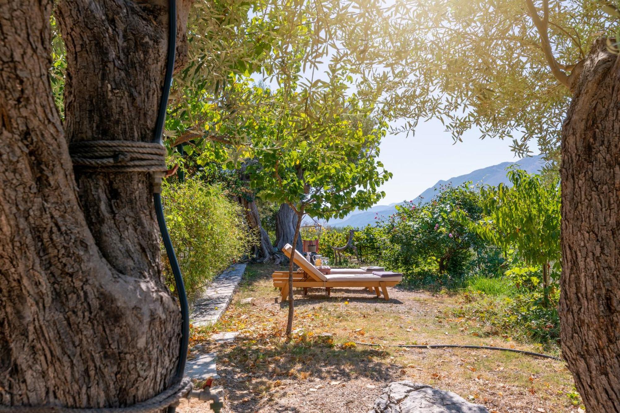 Villa Liodentro - Olea à Plataria Extérieur photo