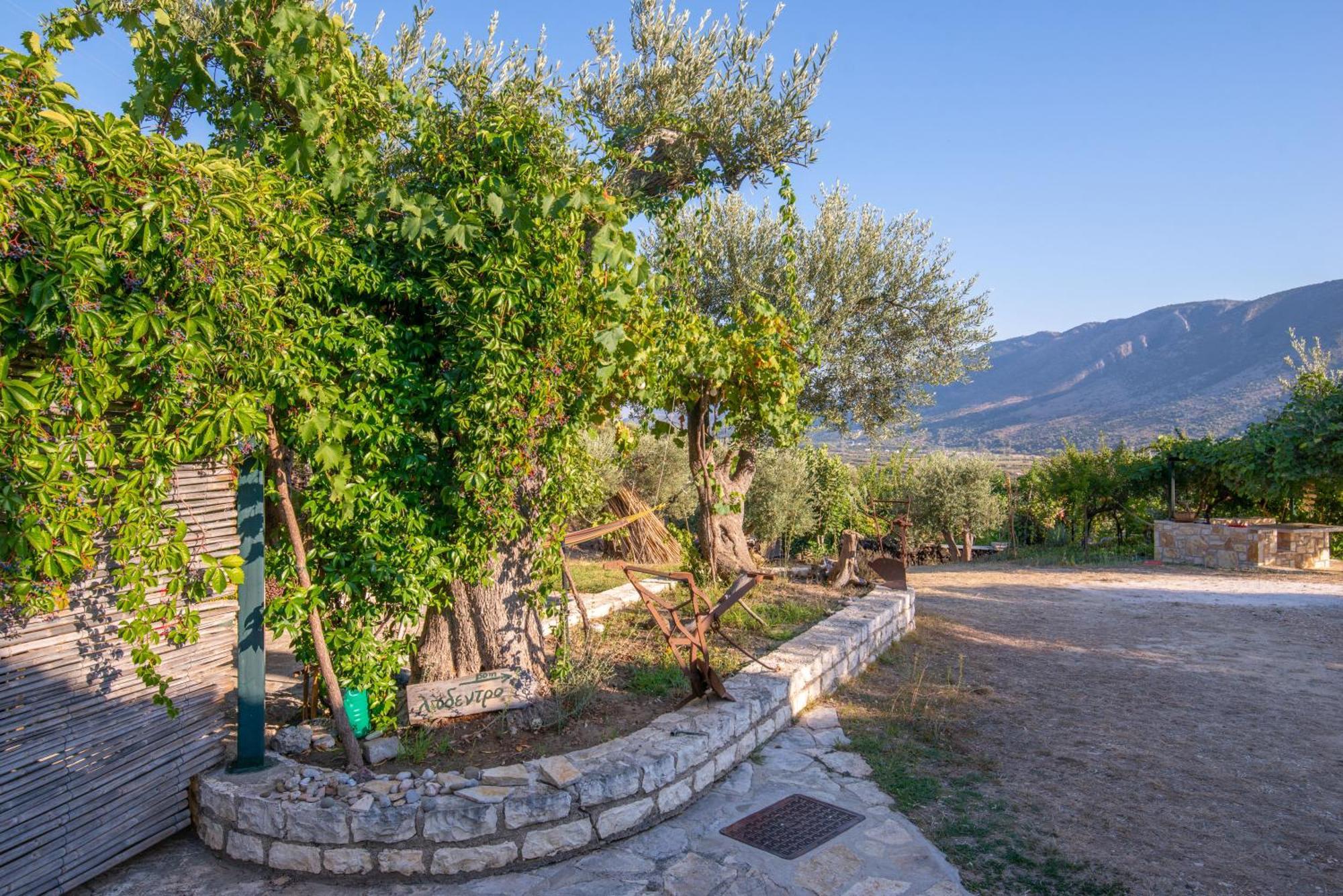 Villa Liodentro - Olea à Plataria Extérieur photo