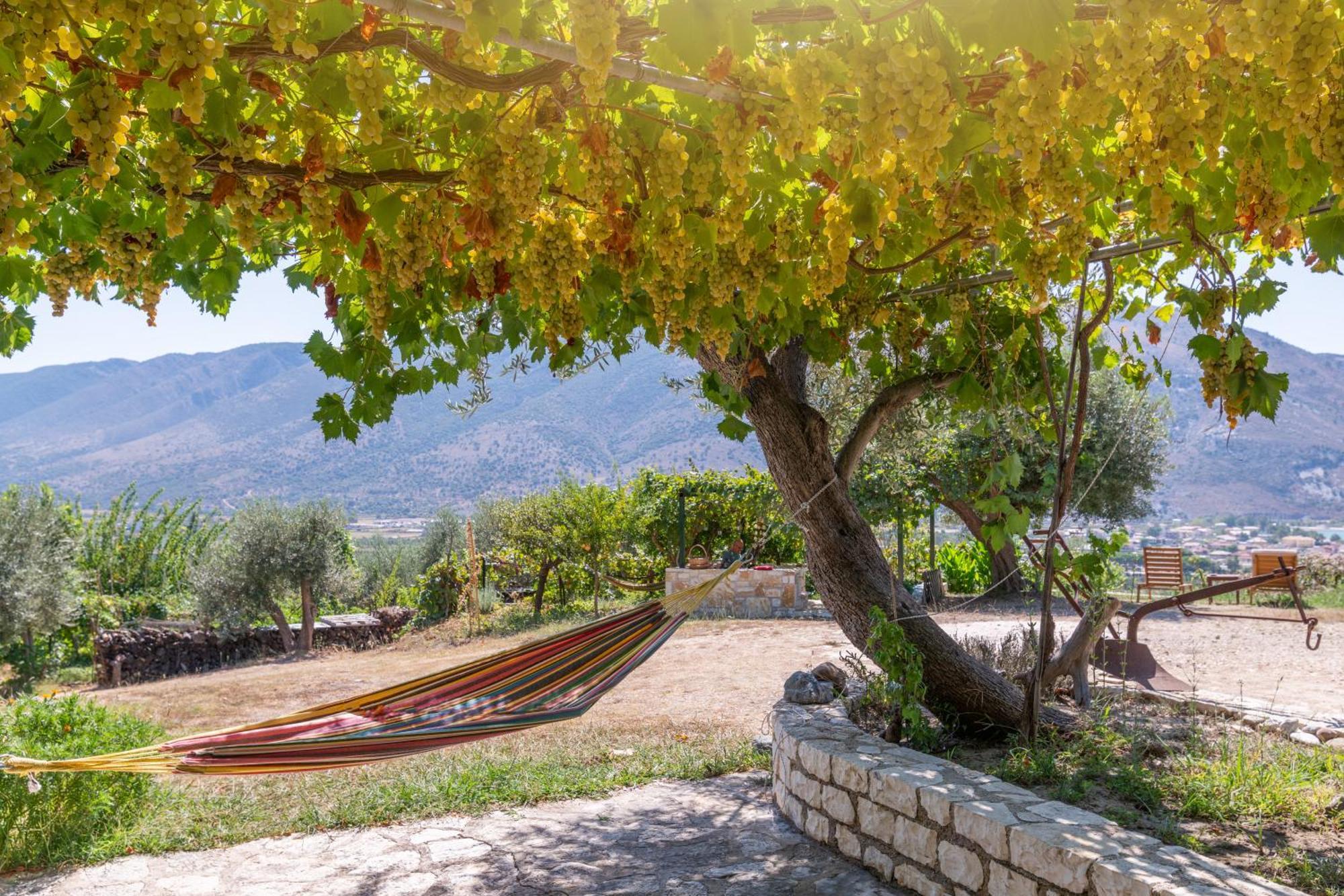 Villa Liodentro - Olea à Plataria Extérieur photo
