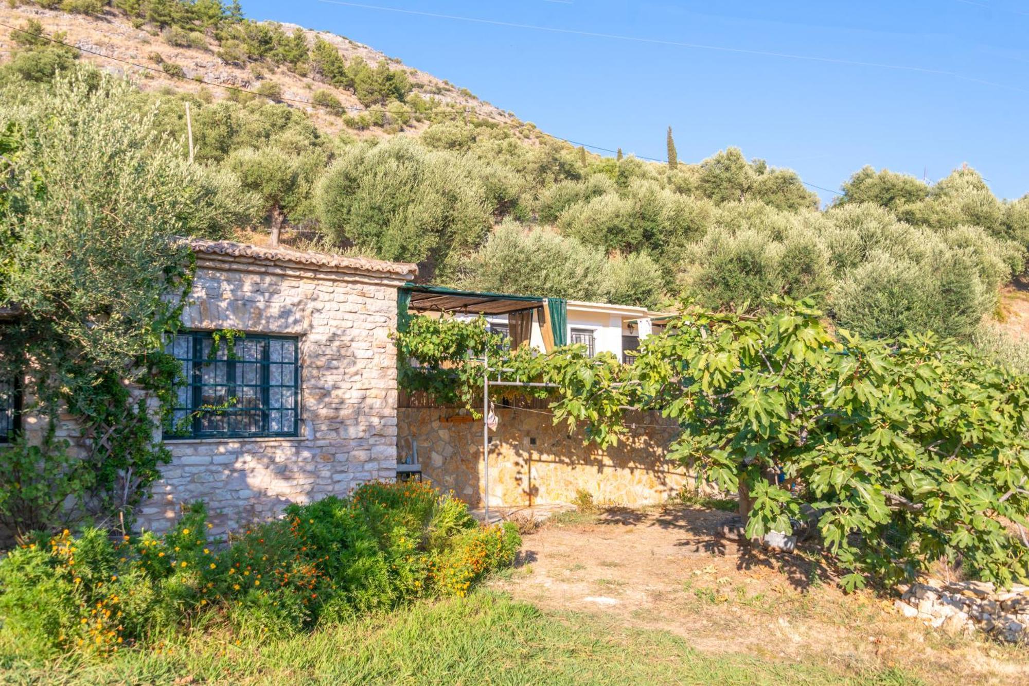 Villa Liodentro - Olea à Plataria Extérieur photo